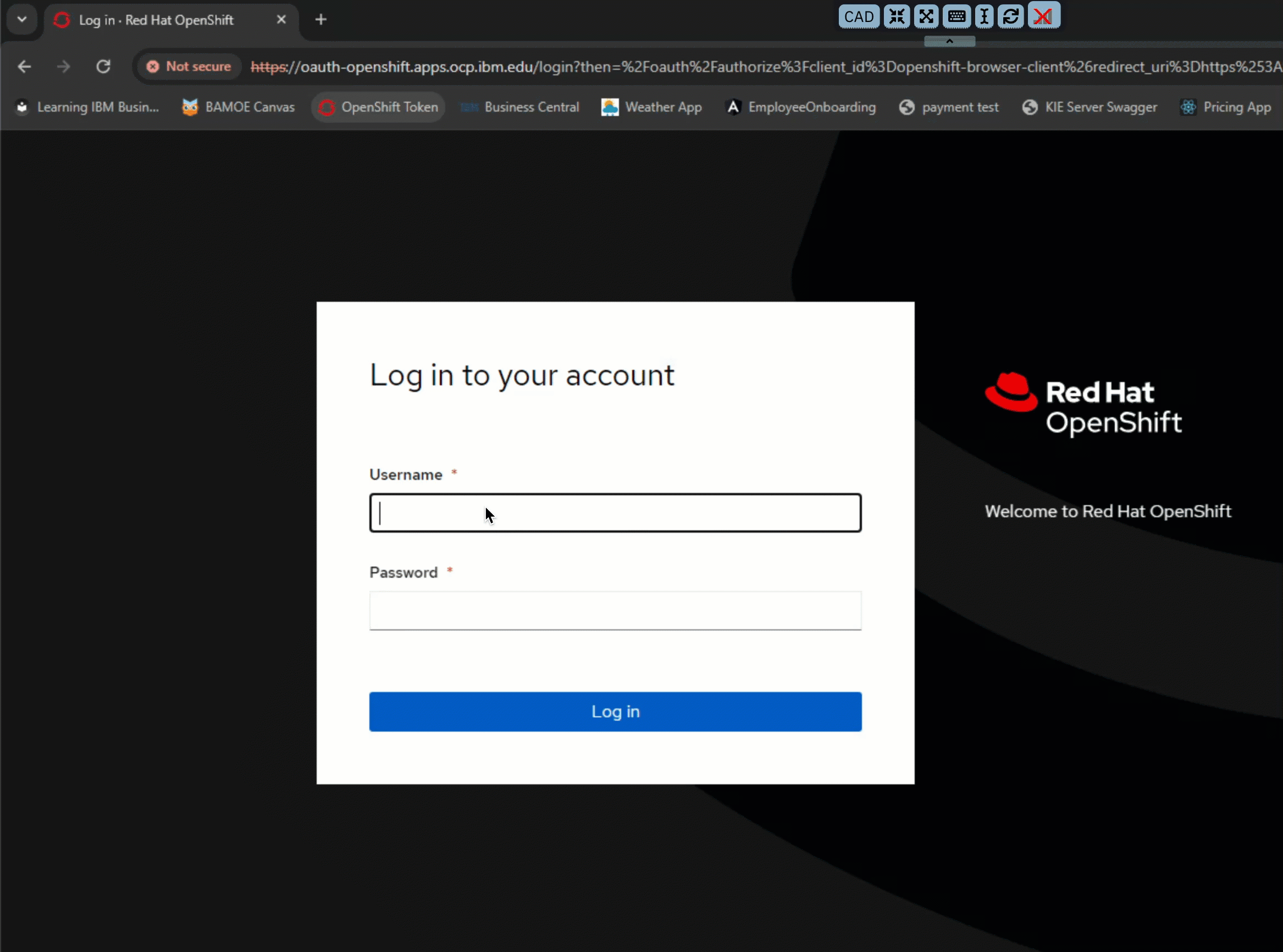 OpenShift Token process to connect IBM Business Automation Manager Canvas